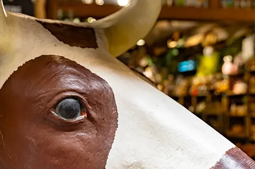 Sculpture de vache savoyarde à l’entrée de l’épicerie Au Petit Terroir à Annecy