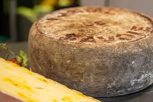 Tomme de Savoie IGP, fromage savoyard de caractère