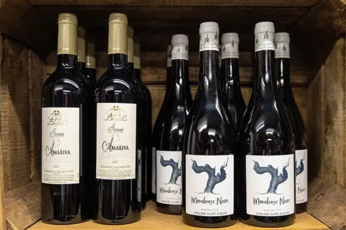 Vins de Savoie AOP, Apremont, Arbin, Mondeuse, Chignin-Bergeron à Annecy